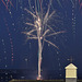 EOS R7 Peter Harriman 21 34 12 8002 week2SummerFireworks dpp