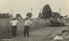 Harvesting Grain, Landisville, Pennsylvania