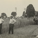 Harvesting Grain, Landisville, Pennsylvania
