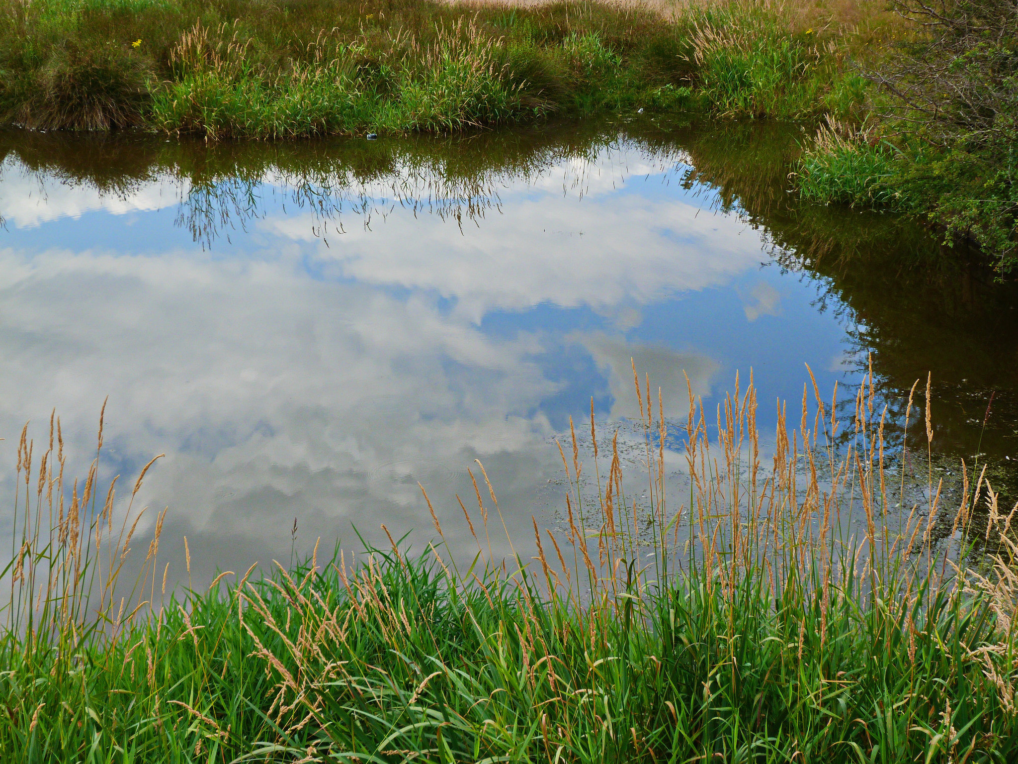 Watery sky