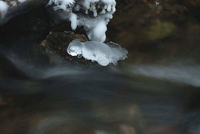 Der Kleine Eisgeist