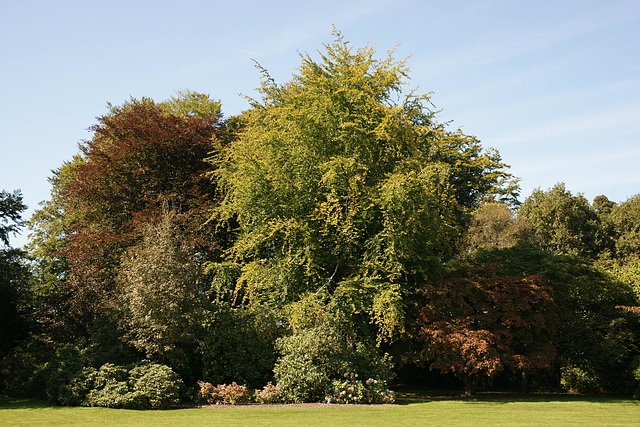 Autumnal Colours At Stourhead