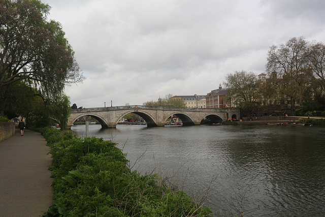 The Thames Path - Teddington to Kew Bridge, north bank