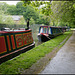 canal boat colours in the green