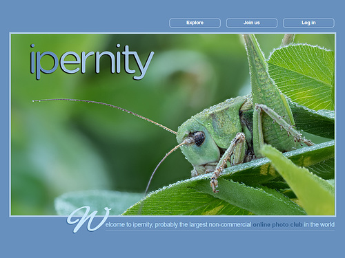 ipernity homepage with #1616