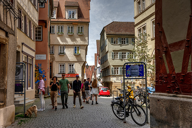 Tübingen, Baden-Württemberg FLAVORS OF CiTY