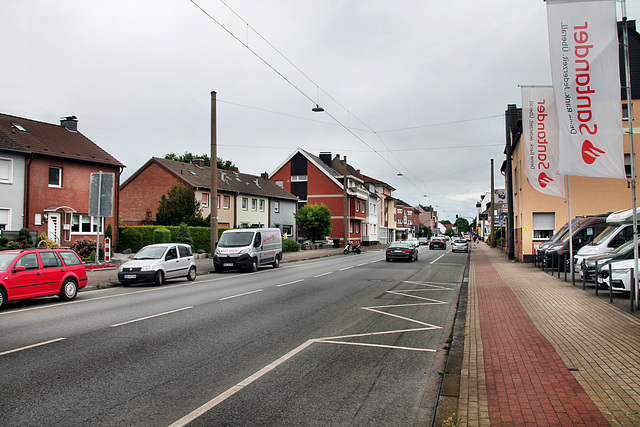 B63 Werler Straße (Hamm) / 6.07.2024