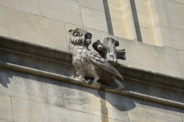 Oxford, Tower of the Five Orders, Owl-Chimera