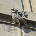 Oxford, Tower of the Five Orders, Owl-Chimera