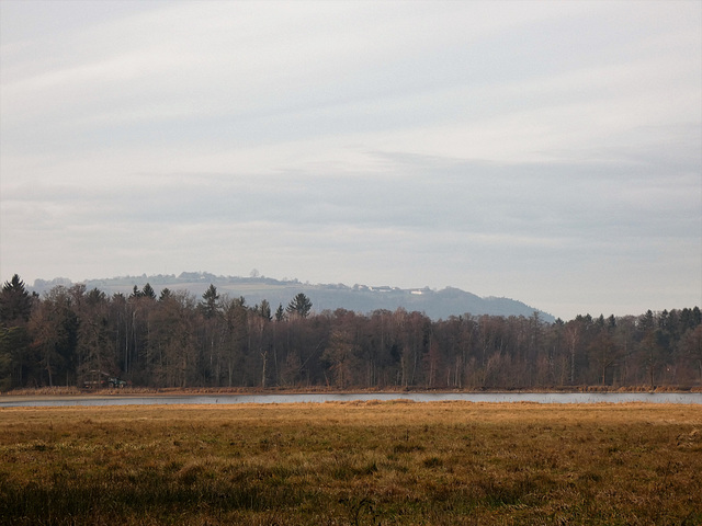 Blick zum Münchshofer Berg