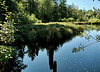 Moorsee