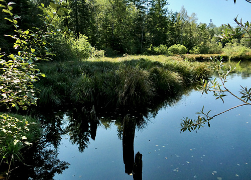 Moorsee