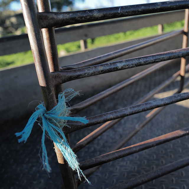 Penedos, Blue rope in square