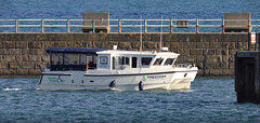 EOS 90D Peter Harriman 16 06 45 22931 freedom dpp