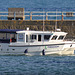 EOS 90D Peter Harriman 16 06 45 22931 freedom dpp