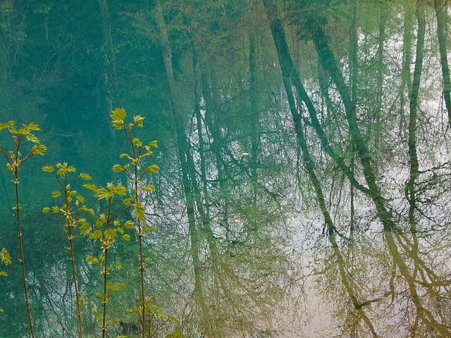 Spiegelung im Blautopf