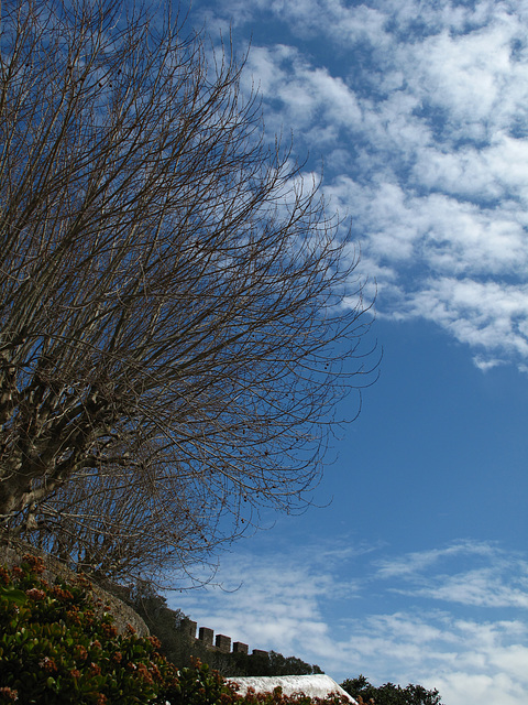 Óbidos Castle