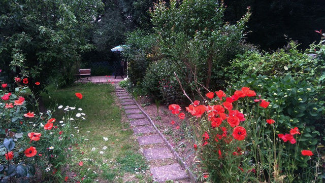 Mon jardin