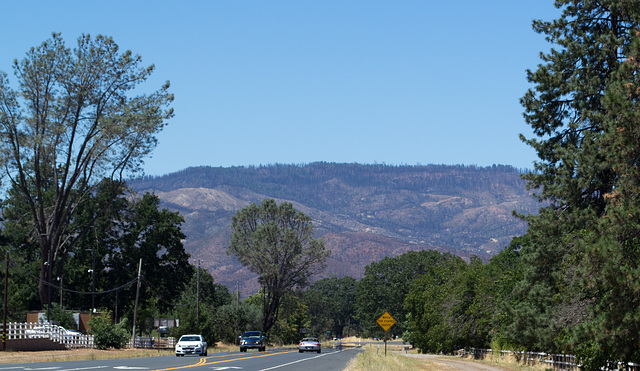 CA-29 Clear Lake burn area  (#1009)