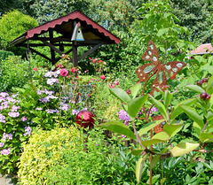 Gartensommer oder Sommergarten