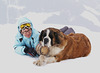 Swiss Mountain Rescue Dog