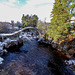 Carrbridge on New Year morning