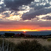 Albuquerque sunset2