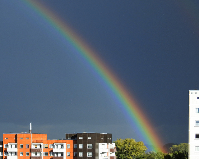 Regenbogen