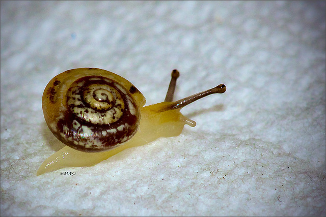 And now I'm on my way up! And now I'm on my way up!