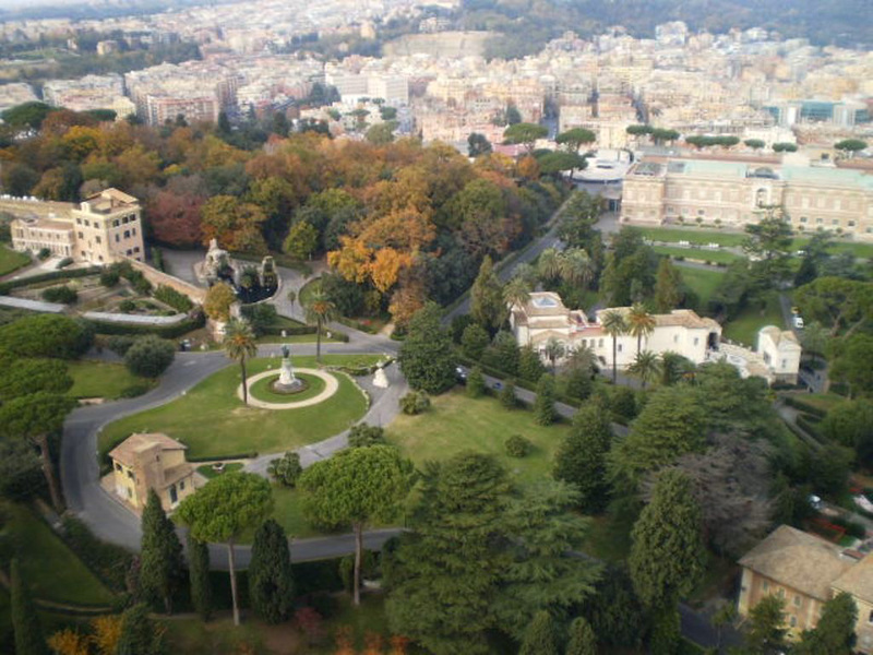 View from the dome of Saint Peter Basilica.