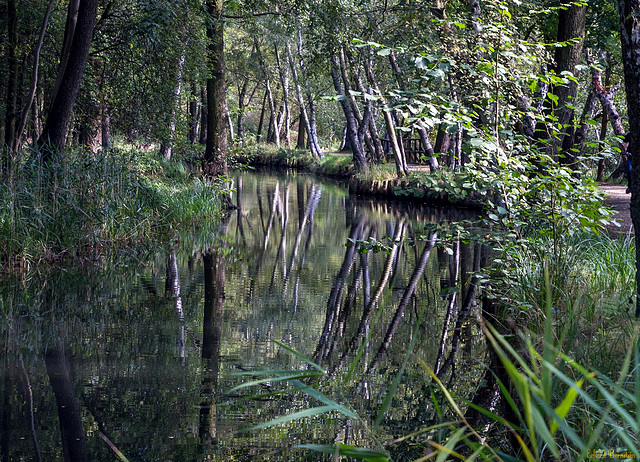 Fließe im Spreewald