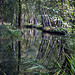Fließe im Spreewald