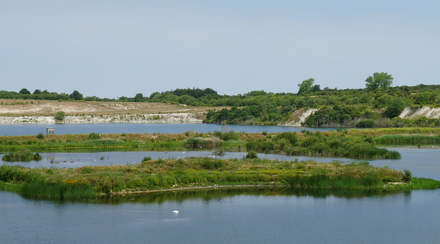 College Lake Nature Reserve