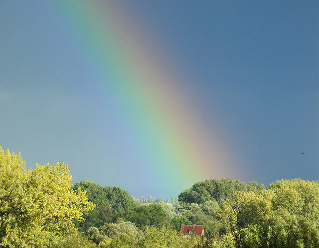 Regenbogen