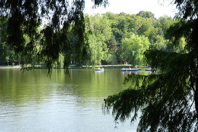 Rowing Boats On Herastrau Lake