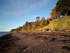 Plage rugueuse / Praia áspera