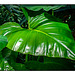Botanische Details