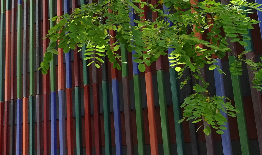 Museum Brandhorst, Fassadendetail