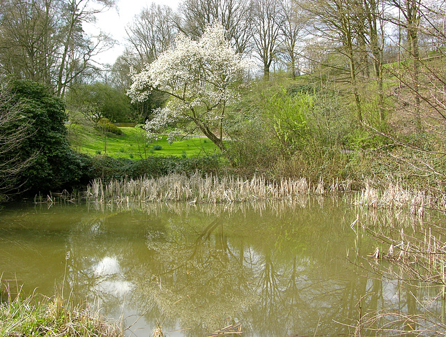 Frühling im Außenmühlenpark