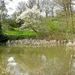 Frühling im Außenmühlenpark