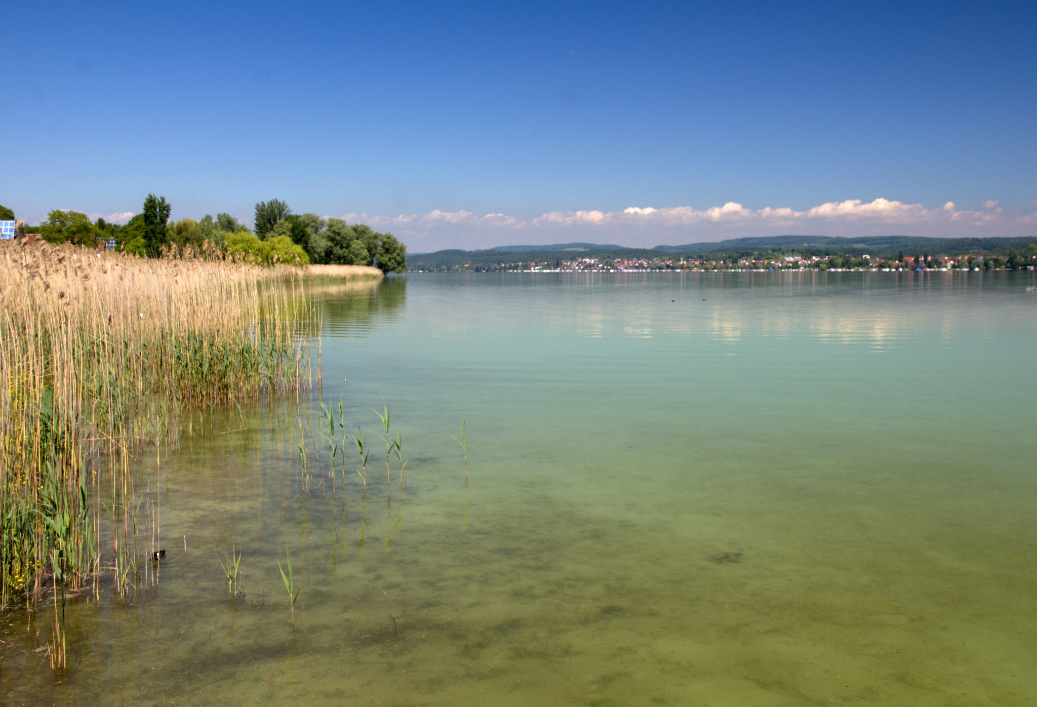 Bodensee (im Hintergrund Konstanz)