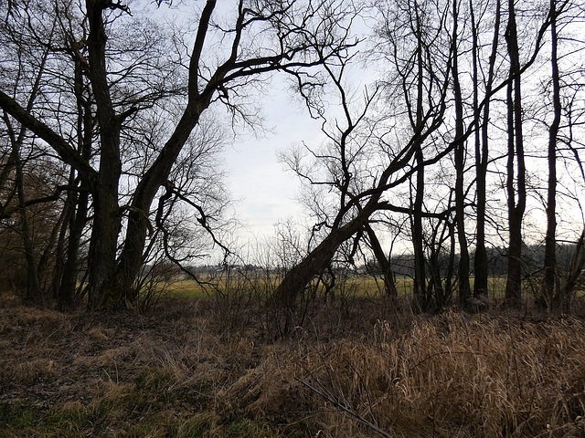 Eselweiher-Runde