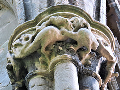 newstead abbey, notts; dragon capital on late c13 west front of priory church