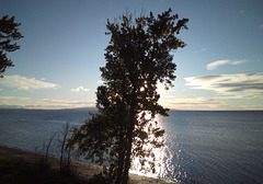 Jouer à cache-cache avec le soleil levant.....