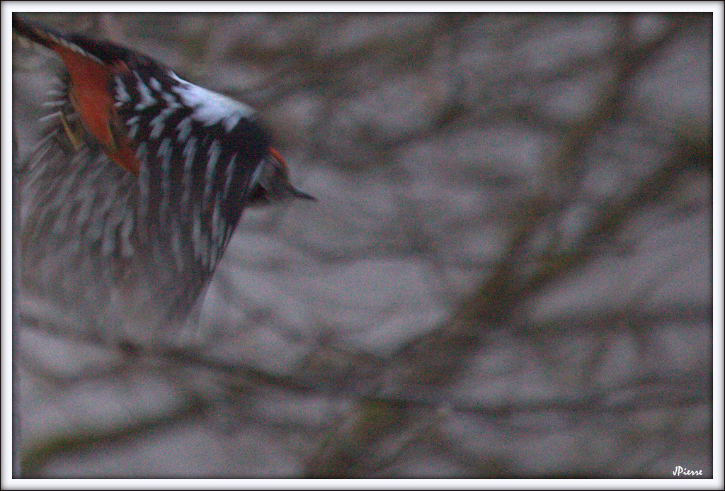 Pic Mar en mouvement