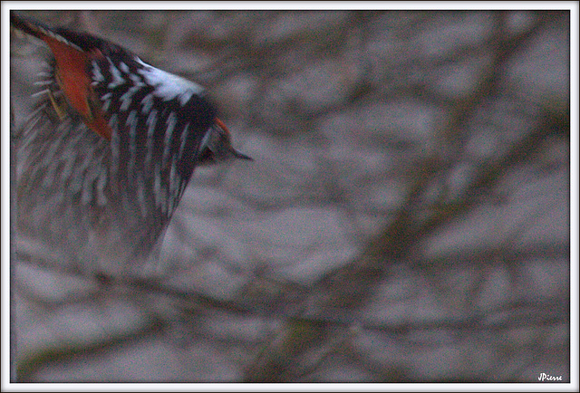 Pic Mar en mouvement