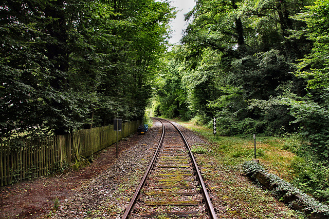 Bahnstrecke Hamm–Lippborg am Pilsholz (Hamm) / 6.07.2024