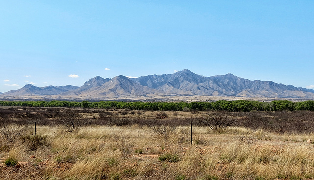 The Huachuca Mountains