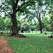 A View of Lalbagh