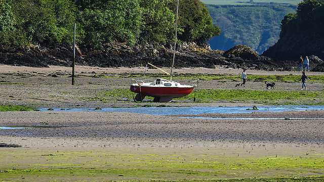 20190609 4938CPw [R~GB] Wales